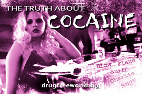 The Truth About Cocaine